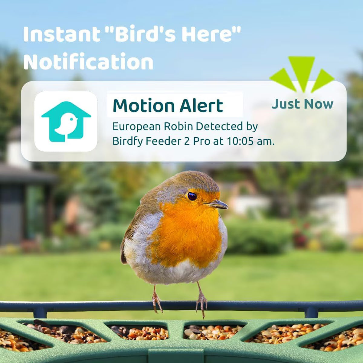 Birdfy Feeder 2 Pro Dual-Lens Smart Bird Feeder with Solar Panel
